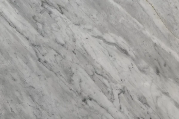 Calactta grey
